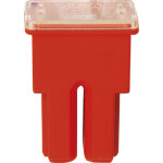 Fusible japonais femelle de type as restagraf 50 a