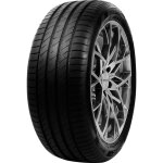 Pneu - null - ds2 - delinte - 205 - 55 - 17 - 95 - w