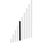 Adam hall 19  parts 61535 b 10 - profil� rack acier noir heavy duty 10 u - racks