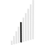 Adam hall 19  parts 61535 b 10 - profil� rack acier noir heavy duty 10 u - rails de rack