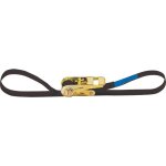Adam hall accessories sr 252 - courroie d'arrimage  cliquet 25 mm - 2, 0 m - sangles de serrage