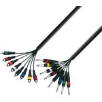 Adam hall cables 3 star l8 pc 0300 - c�ble multipaire 8 x jack 6, 35 mm mono vers 8 x rca m�le 3 m - ...