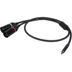 Dap - audio fl112 - usb - c vers 2 xlr / m 3p 384 khz / 32 bits - 1, 5 m - c�bles adaptateurs