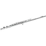 Dimavery qp - 10 flte en do, argente - autres instruments