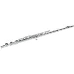 Dimavery qp - 10 fl�te en do, argent�e - autres instruments