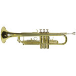 Dimavery tp - 10 trompette sib, or - trompettes