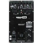 Ersatzteil module amplificateur molly - 12 - pi�ces de rechange
