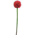 Europalms allium spray, artificiel, rouge, 55cm - branches et buissons Europalms allium spray, artificiel, rouge, 55cm - branches et buissons