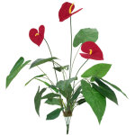 Europalms anthurium, artificiel, 70cm - fleurs Europalms anthurium, artificiel, 70cm - fleurs