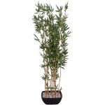 Europalms bambou dans un bol, artificiel, 150cm - arbres Europalms bambou dans un bol, artificiel, 150cm - arbres