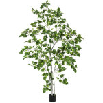 Europalms bouleau, plante artificielle, 180cm - arbres Europalms bouleau, plante artificielle, 180cm - arbres