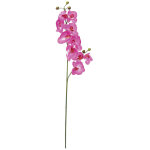 Europalms branche d'orchid�e, artificielle, pourpre, 100cm - branches et buissons