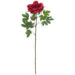 Europalms branche de pivoine classique, plante artificielle, magenta, 80cm - branches et buissons Europalms branche de pivoine classique, plante artificielle, magenta, 80cm - branches et buissons