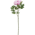 Europalms branche de pivoine classique, plante artificielle, rose, 80cm - branches et buissons