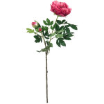 Europalms branche de pivoine premium, plante artificielle, magenta, 100cm - branches et buissons Europalms branche de pivoine premium, plante artificielle, magenta, 100cm - branches et buissons