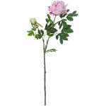 Europalms branche de pivoine premium, plante artificielle, rose, 100cm - branches et buissons Europalms branche de pivoine premium, plante artificielle, rose, 100cm - branches et buissons