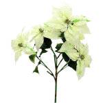 Europalms buisson de poinsettia, cr�me, 60cm - d�co d'hiver & bricolage