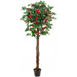 Europalms camelia rouge cimenté, plante artificielle, 180cm - arbres Europalms camelia rouge cimenté, plante artificielle, 180cm - arbres