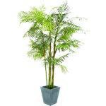 Europalms cycas palm, plante artificielle, 280cm - palmiers Europalms cycas palm, plante artificielle, 280cm - palmiers