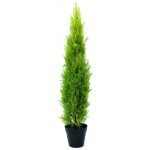 Europalms cypress, leyland, 120cm - b - stock - - soldes% d�coration �v�nementielle