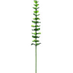 Europalms eucalyptus cristal, plante artificielle, vert 81cm 12x - branches et buissons Europalms eucalyptus cristal, plante artificielle, vert 81cm 12x - branches et buissons