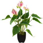 Europalms europalmes anthurium, plante artificielle, blanc et rose - arrangements de plantes Europalms europalmes anthurium, plante artificielle, blanc et rose - arrangements de plantes