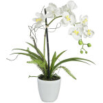 Europalms europalmes arrangement d'orchid�es 1, artificielles - arrangements de plantes