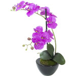Europalms europalmes arrangement d'orchides 4, artificielles - arrangements de plantes
