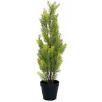 Europalms europalmes cypr�s, leyland, plante artificielle, 60cm - arbres
