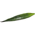 Europalms feuille d'alo�s (eva), artificielle, verte, 60cm - branches et buissons