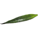 Europalms feuille d'alo�s (eva), artificielle, verte, 60cm - branches et buissons