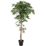 Europalms ficus longifolia, plante artificielle, 165cm - arbres Europalms ficus longifolia, plante artificielle, 165cm - arbres