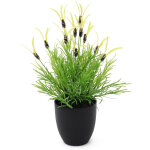 Europalms laitue à plumes, artificielle, 40cm - fleurs Europalms laitue à plumes, artificielle, 40cm - fleurs