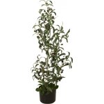 Europalms olivier, plante artificielle, 90 cm - arbres
