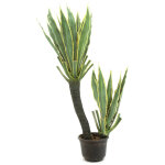 Europalms orchidée - cactus, plante artificielle, 160cm - cacti Europalms orchidée - cactus, plante artificielle, 160cm - cacti