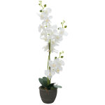 Europalms orchid�e, plante artificielle, blanc, 80cm - fleurs