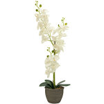 Europalms orchide, plante artificielle, crme, 80cm - fleurs