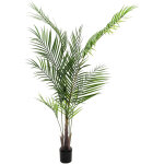 Europalms palmier areca avec grandes feuilles, plante artificielle, 165cm - palmiers Europalms palmier areca avec grandes feuilles, plante artificielle, 165cm - palmiers