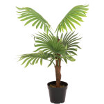 Europalms palmier éventail, plante artificielle, 88cm - palmiers Europalms palmier éventail, plante artificielle, 88cm - palmiers