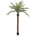 Europalms palmier kentia deluxe, plante artificielle, 300cm - palmiers Europalms palmier kentia deluxe, plante artificielle, 300cm - palmiers