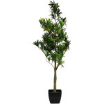 Europalms podocarpus tree, plante artificielle, 90cm - arbres Europalms podocarpus tree, plante artificielle, 90cm - arbres