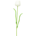 Europalms tulipe en cristal, fleur artificielle, blanc 61cm 12x - fleurs