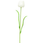 Europalms tulipe en cristal, fleur artificielle, blanc 61cm 12x - fleurs