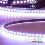 Isoled ruban led gamme micro, rvb, 24v, 12w, ip20 - bandes led Isoled ruban led gamme micro, rvb, 24v, 12w, ip20 - bandes led