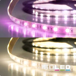 Isoled ruban led sil rvb + blanc chaud, 24 v, 19 w, ip20, puce 4en1 - bandes led Isoled ruban led sil rvb + blanc chaud, 24 v, 19 w, ip20, puce 4en1 - bandes led