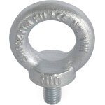 Ld systems 5431 m10 - boulon � ?il galvanis� m10 x 17 mm din 580 - anneaux de levage, �crous de levage ...