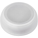 Omnitronic dal - 2 enceinte de plafond - haut - parleurs ela 100 v