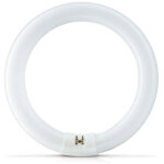 Philips actinic bl tl - e 22w / 10 1ct / 20 lampe anti - insectes 22w actinic g10q ring - lampes fluorescentes ...