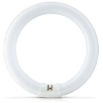 Philips actinic bl tl - e 22w / 10 1ct / 20 lampe anti - insectes 22w actinic g10q ring - lampes fluorescentes ...