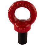 Riggatec Écrou boulon à oil m6, rouge 0, 4 t - anneaux de levage, écrous de levage et maillons de suspension ... Riggatec Écrou boulon à oil m6, rouge 0, 4 t - anneaux de levage, écrous de levage et maillons de suspension ...